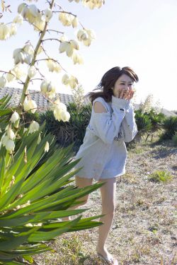 速度与激情:特别行动